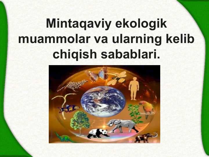 Mintaqaviy ekologik muammolar va ularning kelib chiqish sabablari.