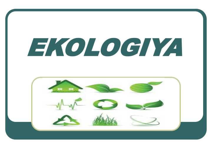 EKOLOGIYA