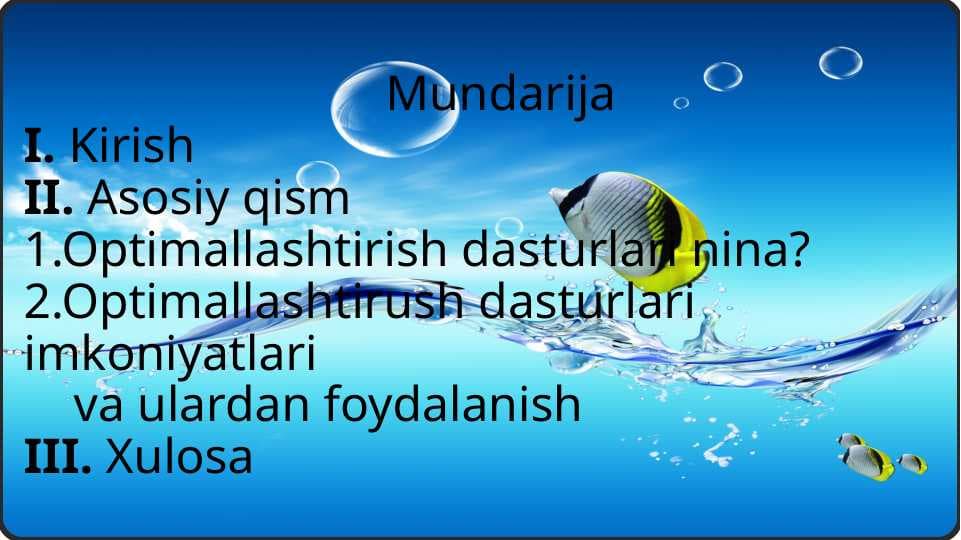 Optimallashtirish dasturlari