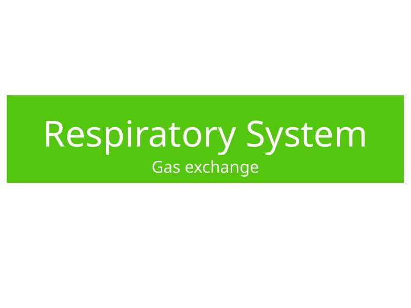 Respiratory System