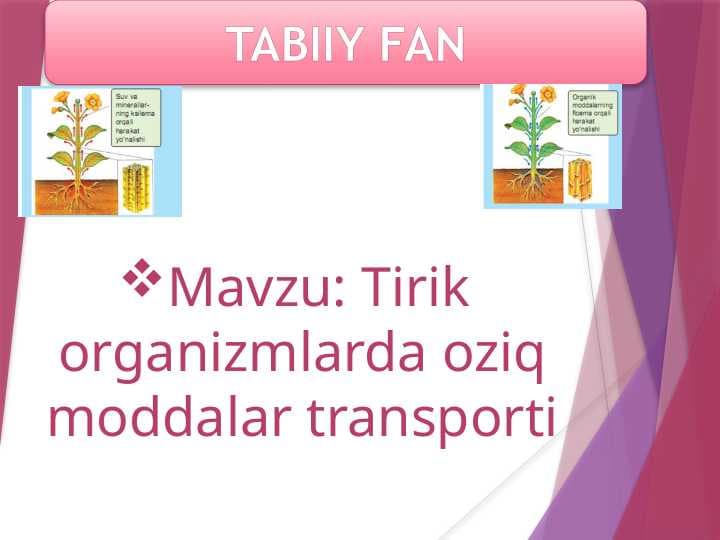 Tirik organizmlarda oziq moddalar transporti