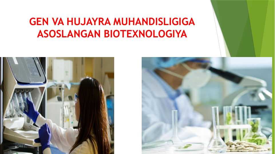 GEN VA HUJAYRA MUHANDISLIGIGA ASOSLANGAN BIOTEXNOLOGIYA