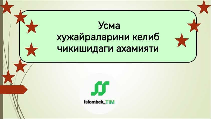 Усма хужайраларини келиб чикишидаги ахамияти