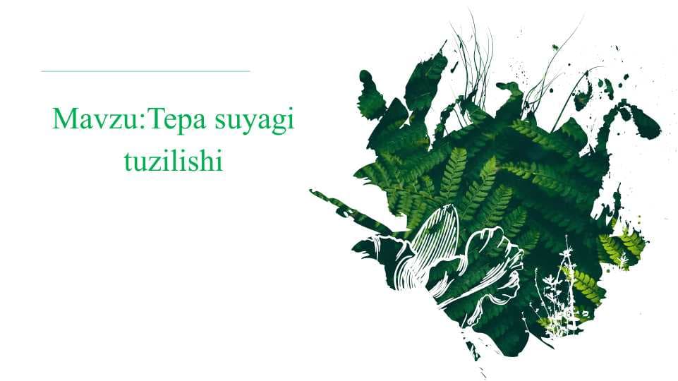 Tepa suyagi tuzilishi