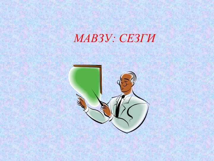 СЕЗГИ