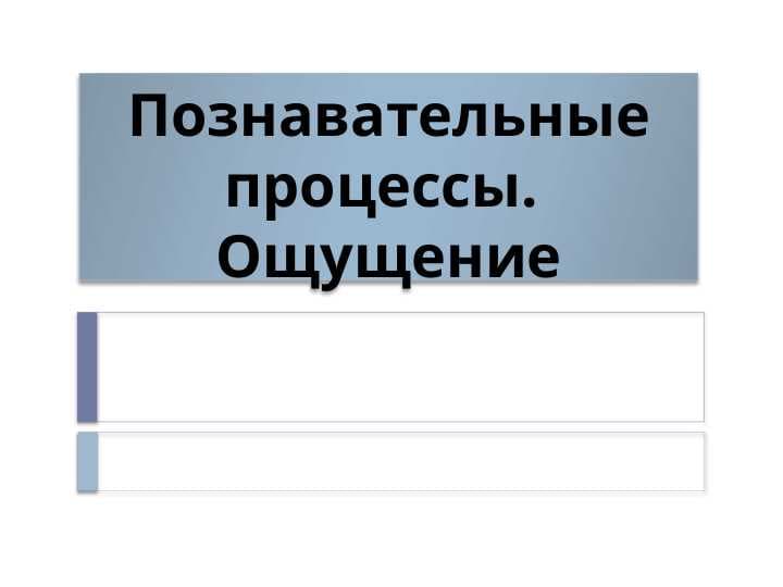 Познавательные процессы. Ощущение