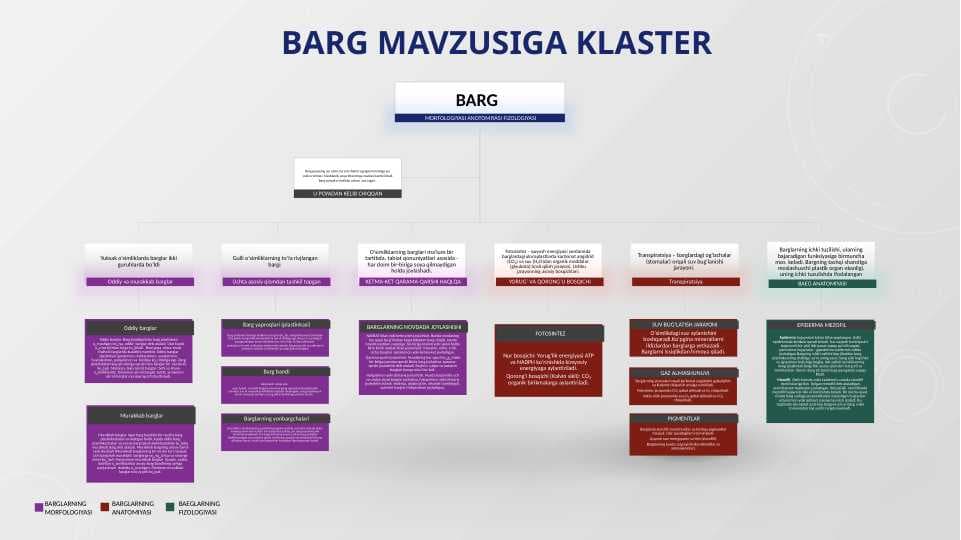 Barg klaster