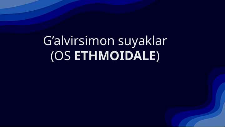 G'alvirsimon suyaklar