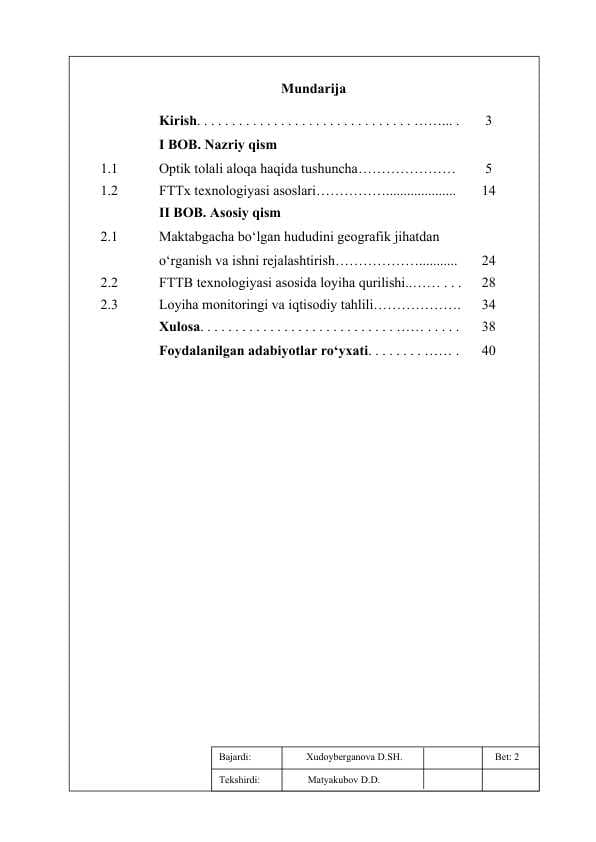 Individual loyiha 2