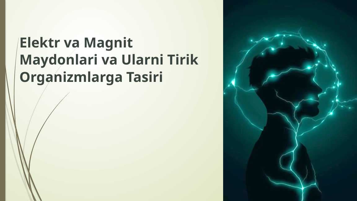 Elektr va Magnit Maydonlari va Ularni Tirik Organizmlarga Tasiri