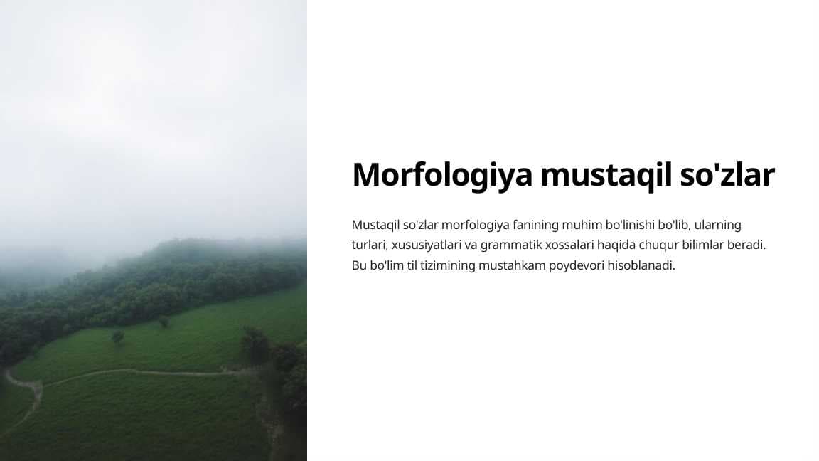 Morfologiya mustaqil so'zlar
