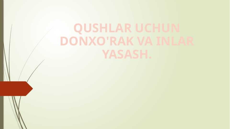 QUSHLAR UCHUN DONXO'RAK VA INLAR YASASH.
