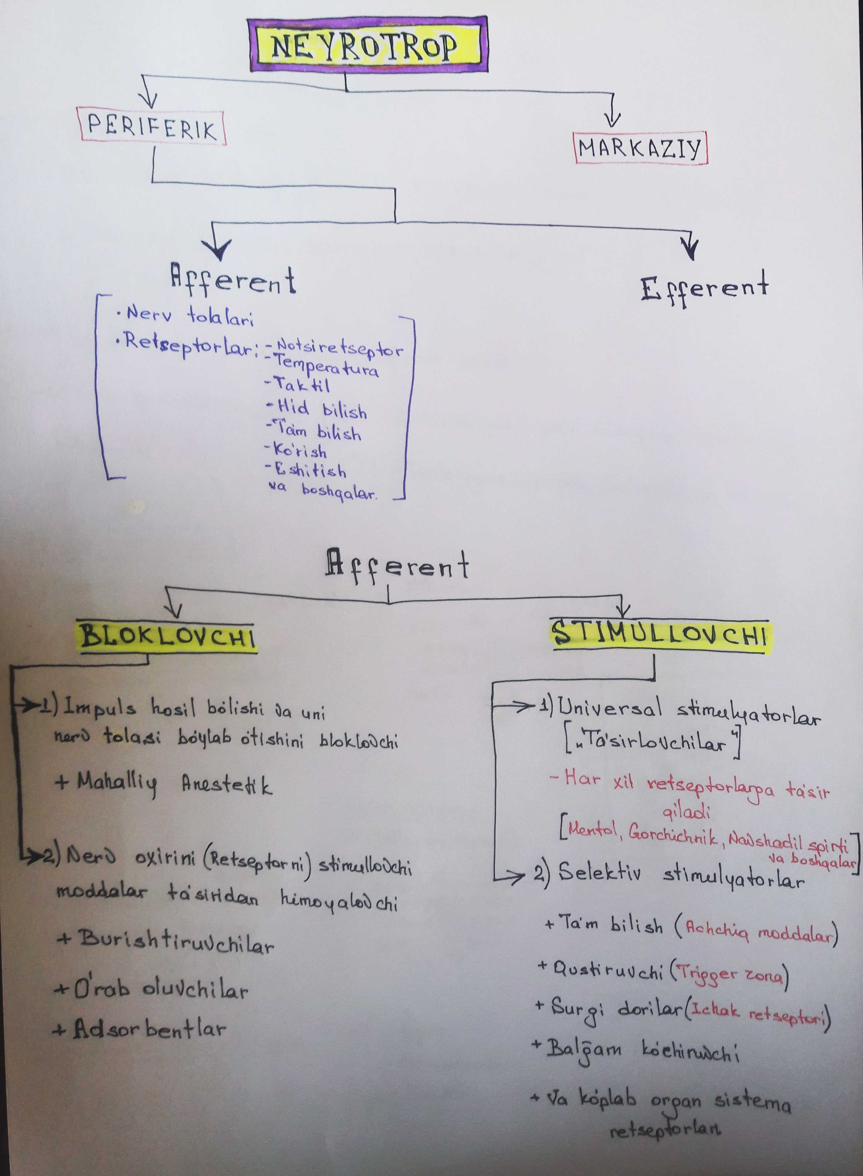 Afferent system.
