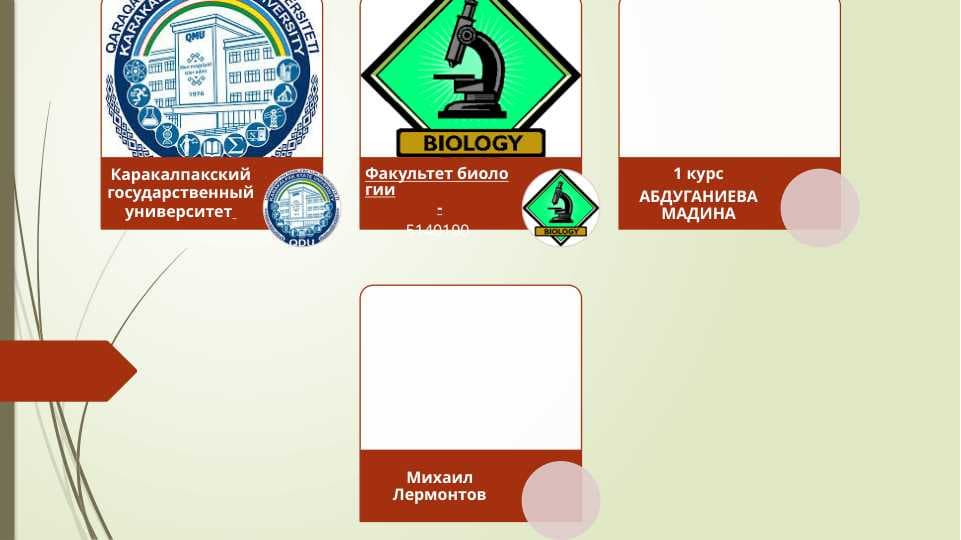 Произведения Лермонтова в других видах искусства