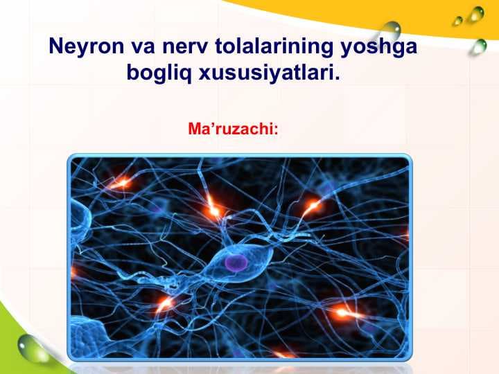 Neyron va nerv tolalarining yoshga bogliq xususiyatlari.
