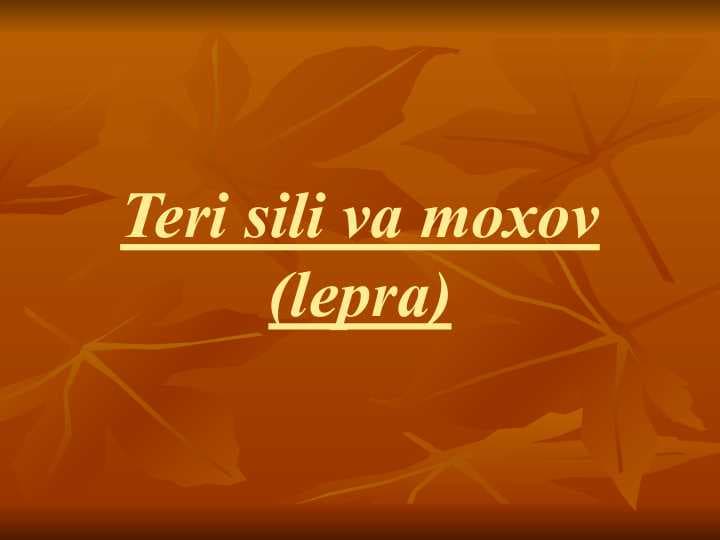Teri sili va moxov (lepra)