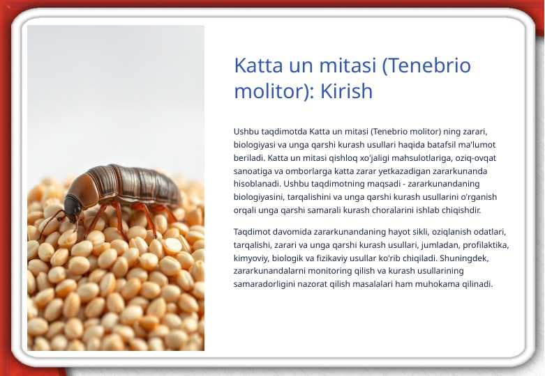 Katta un mitasi (Tenebrio molitor)