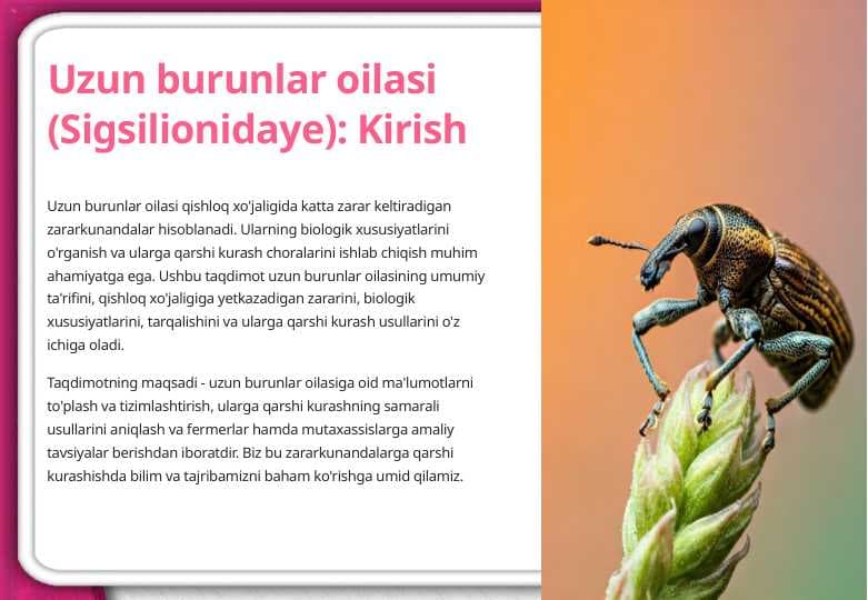 Uzun burunlar oilasi