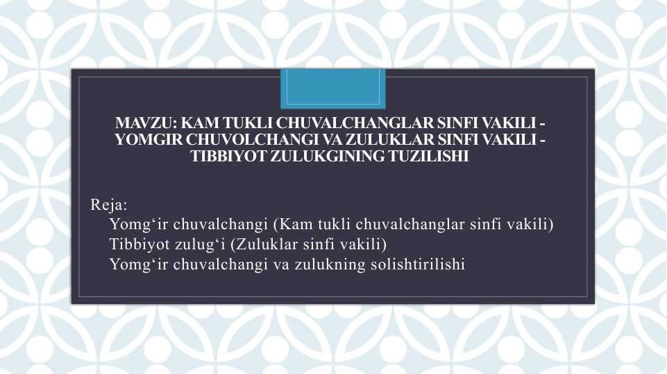 Kam tukli chuvalchanglar sinfi vakili - Yomgir chuvolchangi va zuluklar sinfi vakili - tibbiyot zulukgining tuzilishi
