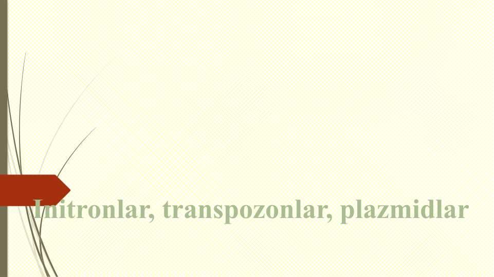 Initronlar, transpozonlar, plazmidlarInitronlar, transpozonlar, plazmidlar