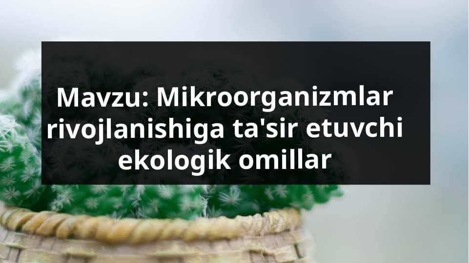 Mikroorganizmlar rivojlanishiga ta'sir etuvchi ekologik omillar