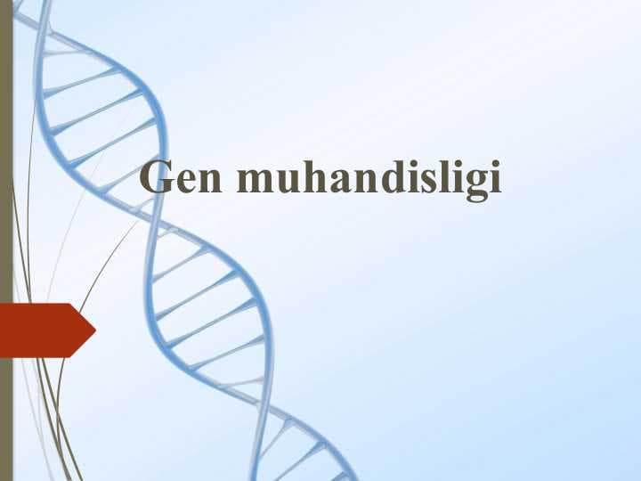 Gen muhandisligi