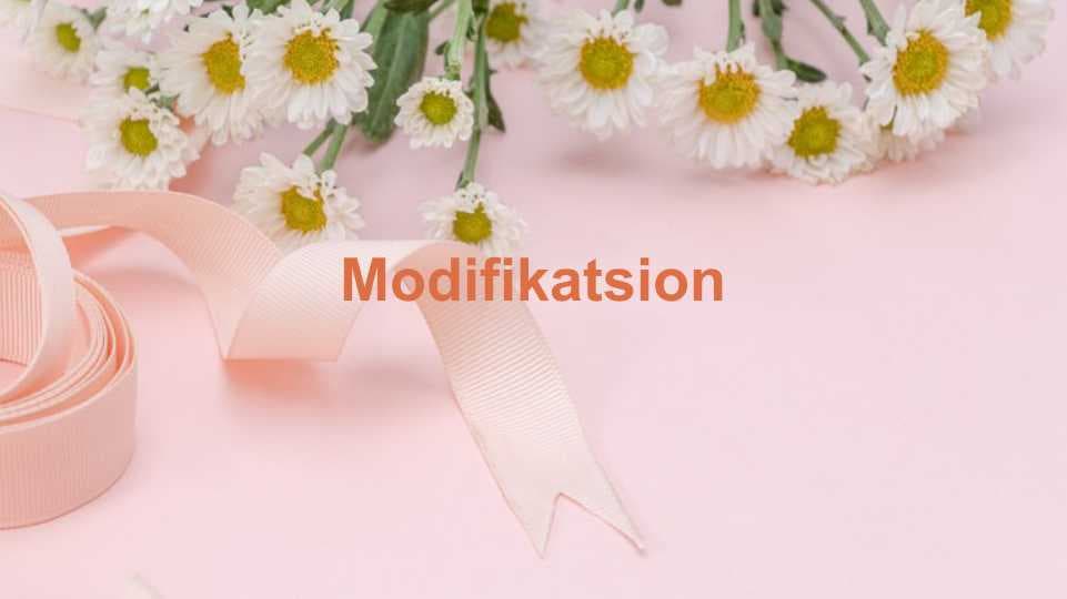 Modifikatsion