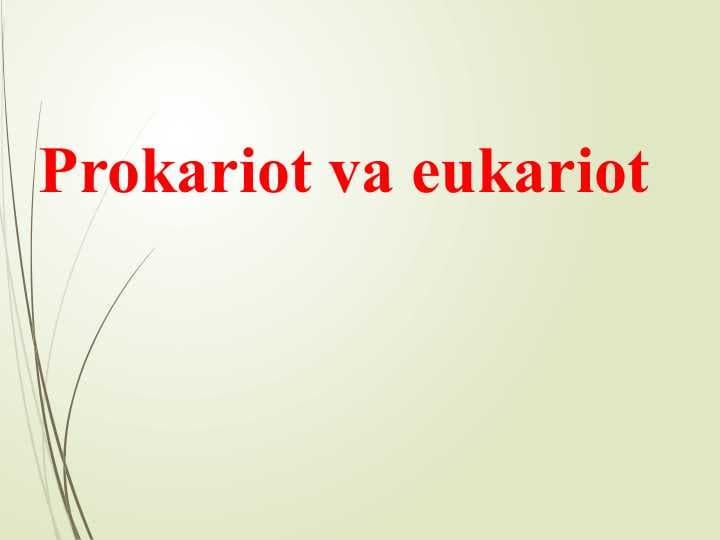 Prokariot va eukariot