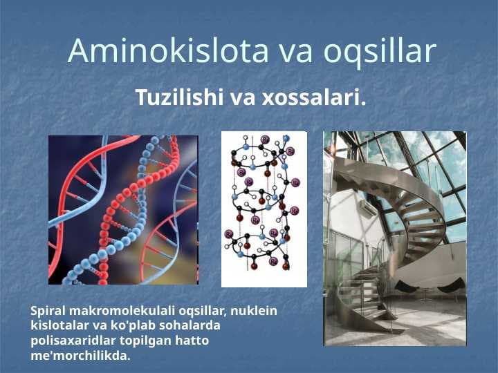 Aminokislota va oqsillar