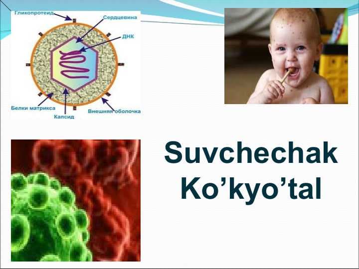 Suvchechak Ko’kyo’tal