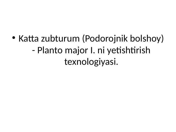 Katta zubturum  - Planto major I. ni yetishtirish texnologiyasi