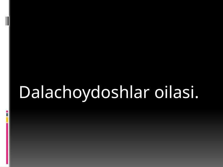 Dalachoydoshlar oilasi