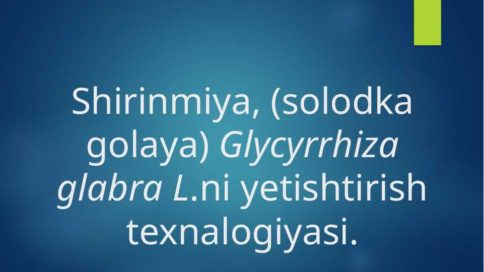 Shirinmiya, (solodka golaya) Glycyrrhiza glabra L.ni yetishtirish texnalogiyasi