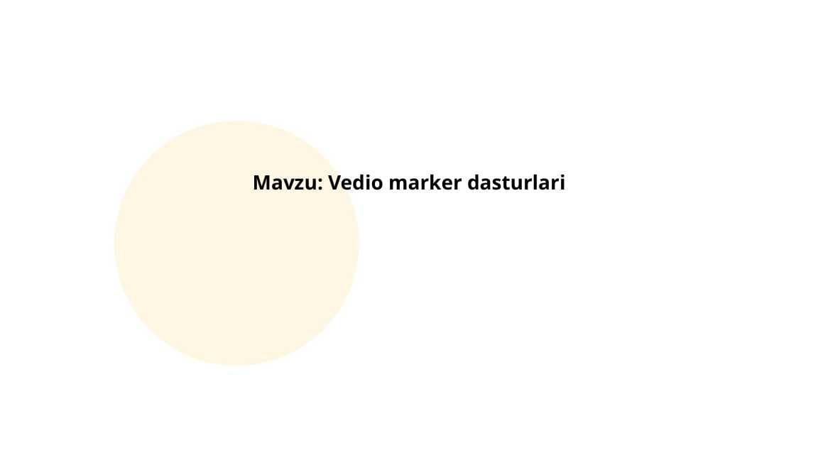 Vedio marker dasturlari