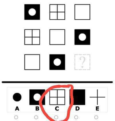 ARGOST  iQ test 2025