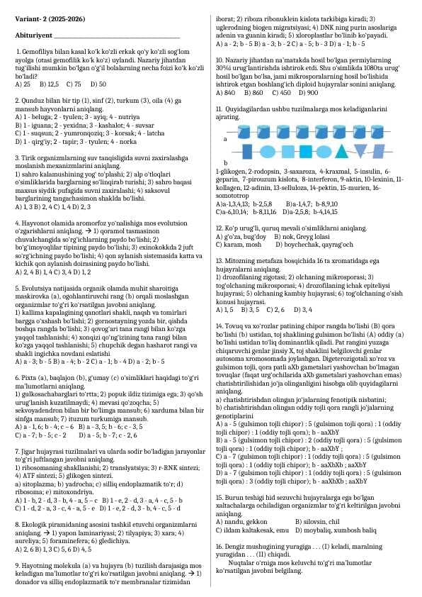 Variant 2 (2025 2026)