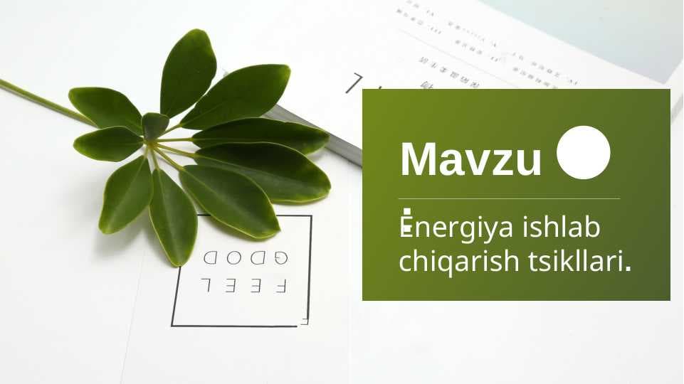 Energiya ishlab  chiqarish tsikllari