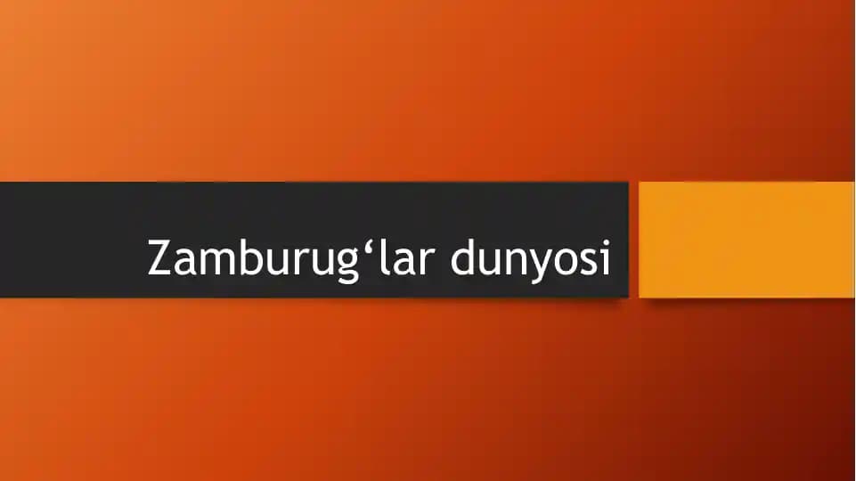 Zamburug‘lar dunyosi