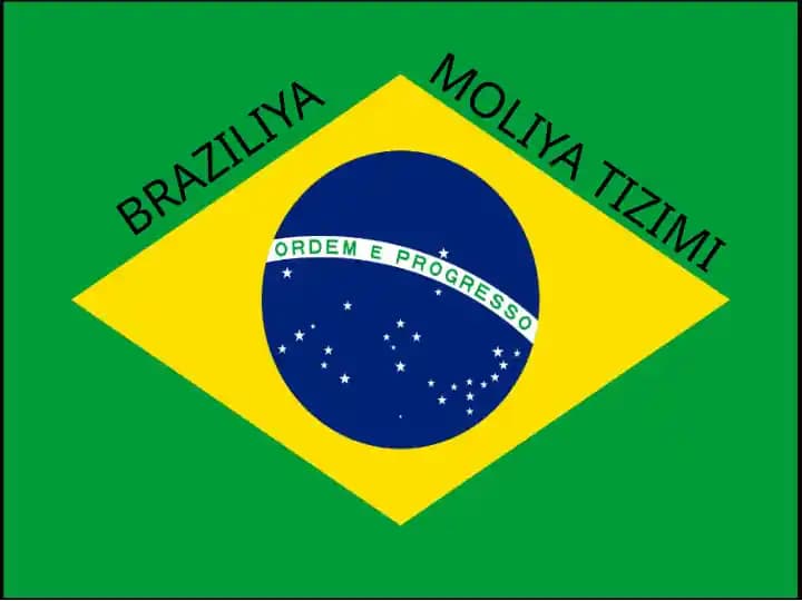 BRAZILIYA Moliya tizimi