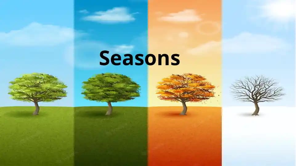 Seasons