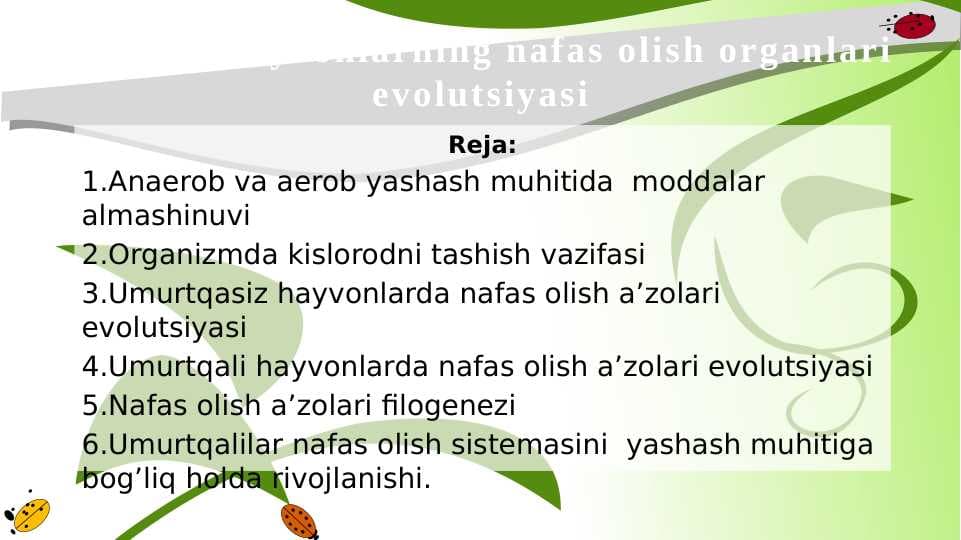 Hayvonlarning nafas olish organlari evolutsiyasi