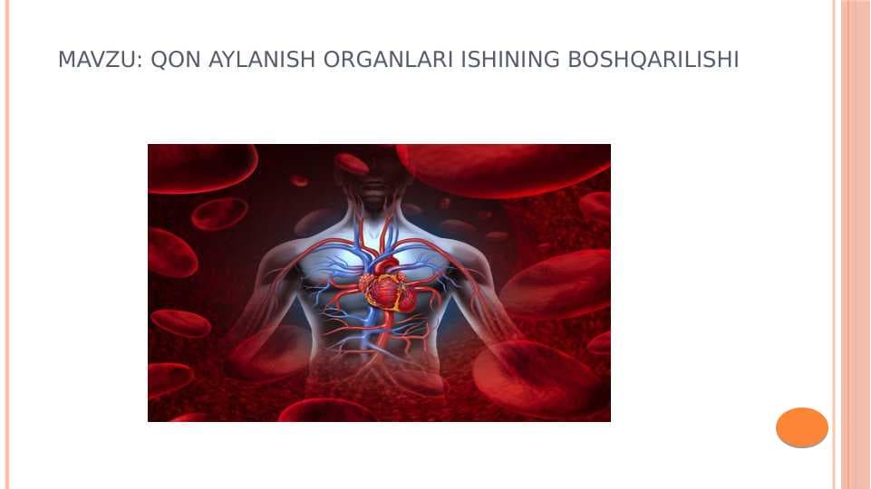 Qon aylanish organlari ishining boshqarilishi