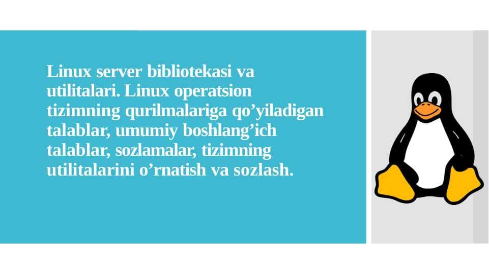 Linux server bibliotekasi va utilitalari+
