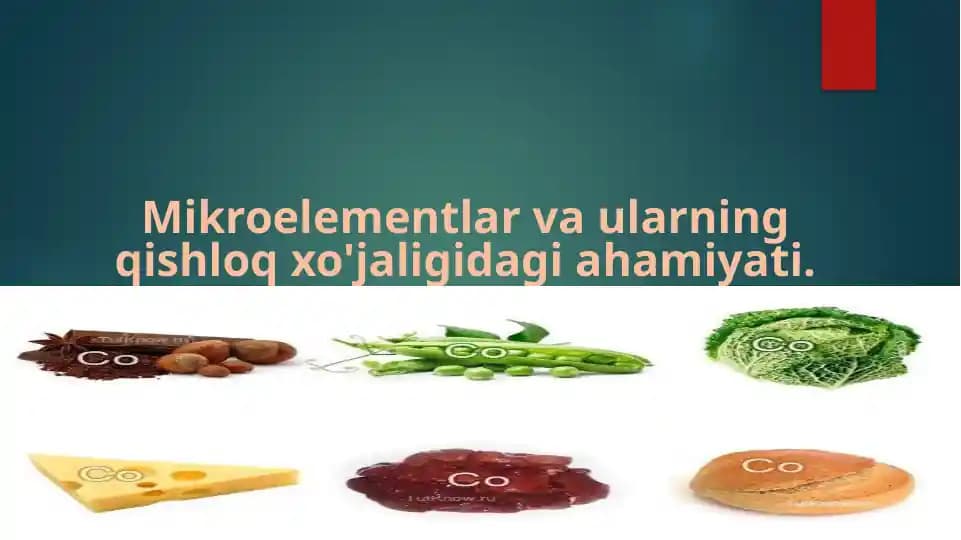 Mikroelementlar va ularning qishloq xo'jaligidagi roli