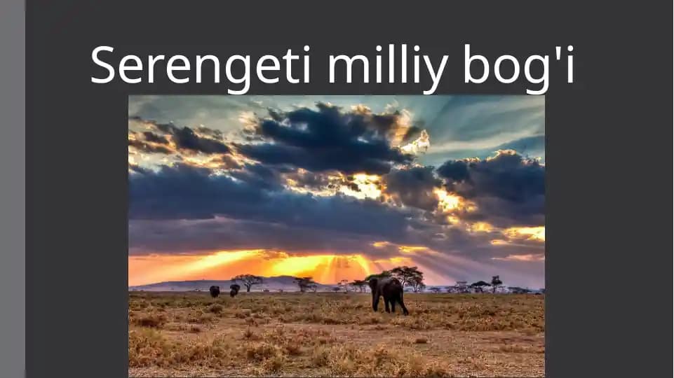 Serengeti milliy bog'i