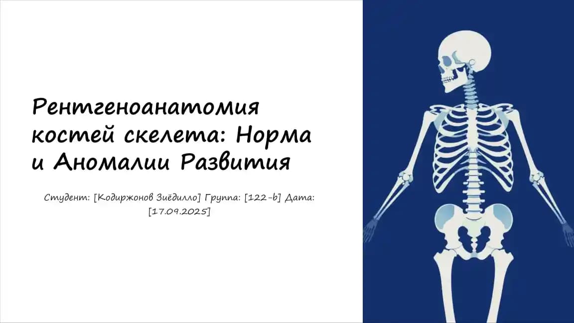 Рентгеноанатомия костей скелета: Норма и Аномалии Развития