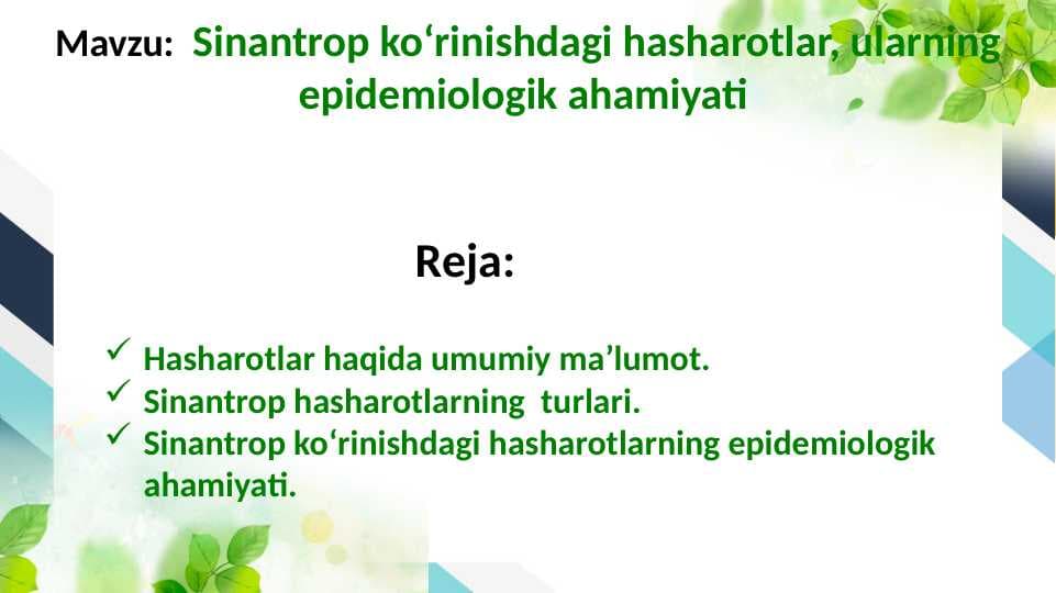 Sinantrop koʻrinishdagi hasharotlar, ularning epidemiologik ahamiyati