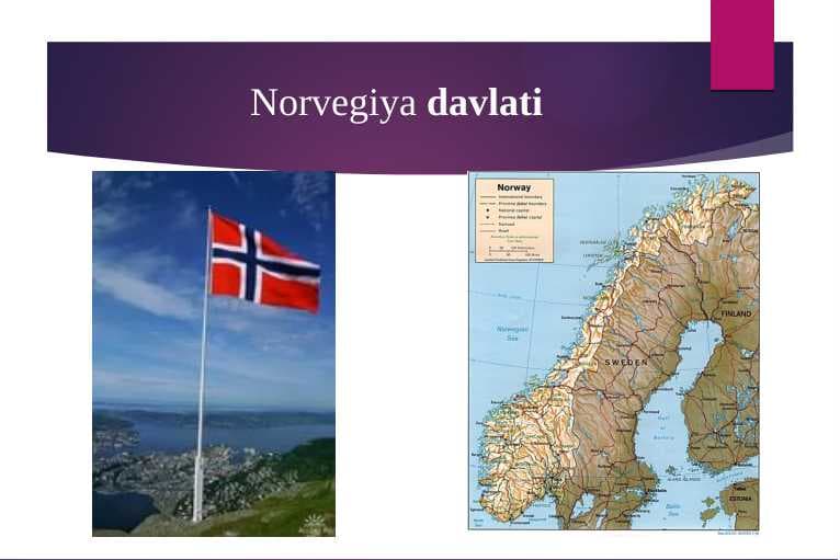 Norvegiya davlati