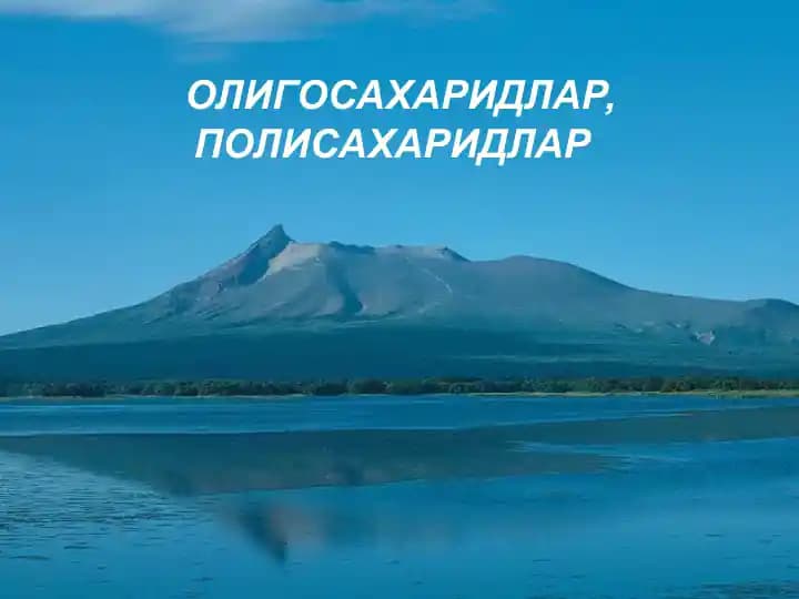 ОЛИГОСАХАРИДЛАР, ПОЛИСАХАРИДЛАР