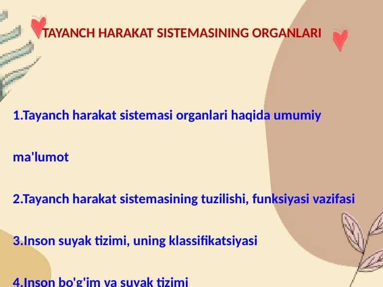 Tayanch harakat sistemasining organlari